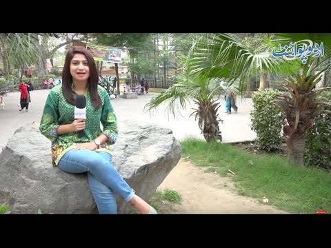 Ayesha Jab 6 Saal Ki Thi To Uski Bahen Ki Age Adhi Thi - Abb Ayesha ki Age kia Hogi?