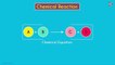 How Chemical Equations are Formed
