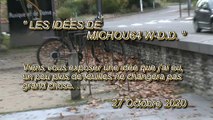 LES IDÉES DE MICHOU64 W-D.D. - 27 OCTOBRE 2020 - PAU - UNE IDÉE SAUGRENUE DE MICHOU64 W-D.D. QUI NE CHANGERA PAS GRAND CHOSE