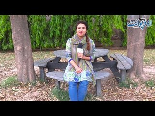 Agar Ek Haathi Swimming Pool Main Gir Jaye To Woh Bahar Kaise Nikley Ga?