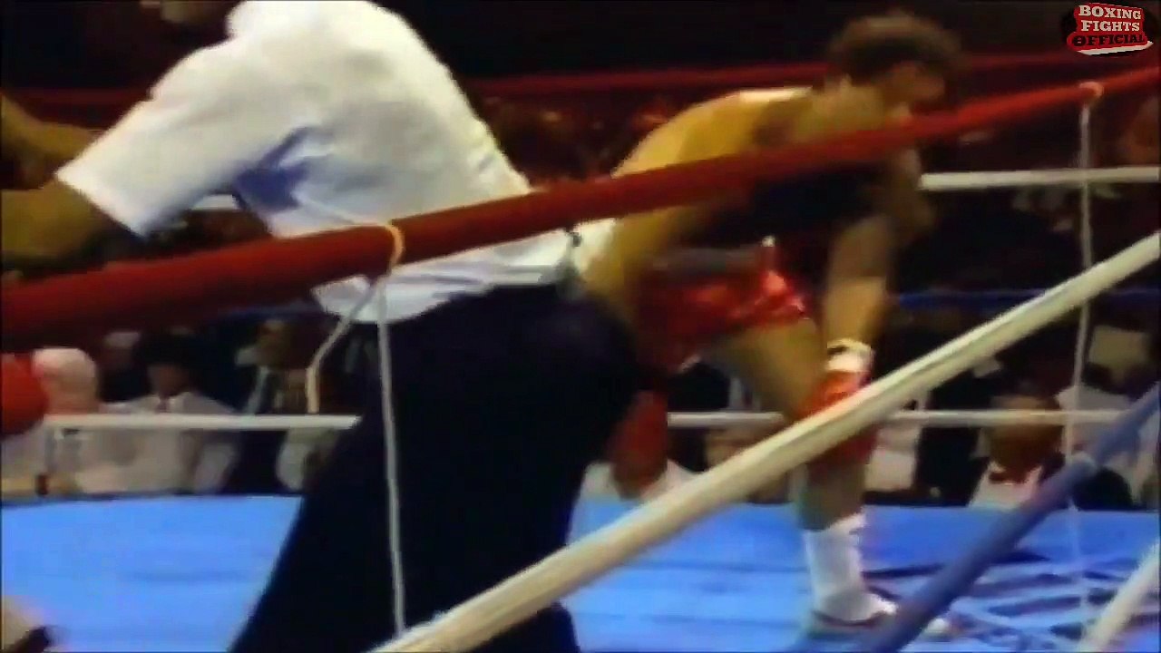 MICHAEL SPINKS HIGHLIGHTS