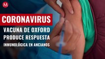 Vacuna contra covid-19 de Oxford produce respuesta inmunológica en ancianos