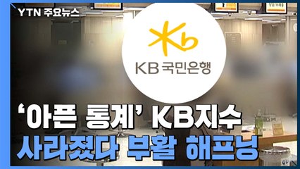 [앵커리포트] '아픈 통계' KB지수 사라졌다 부활 해프닝 / YTN