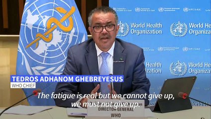 'We cannot give up,' WHO chief says of pandemic fight
