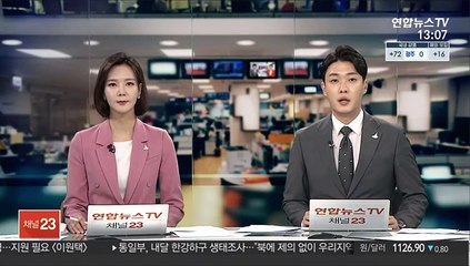 쇠징 신발 신고 후배 얼굴 걷어찬 10대 실형