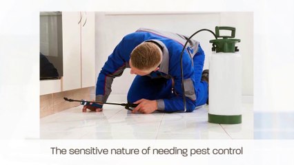 EZ Bed Bug Exterminator New Braunfels