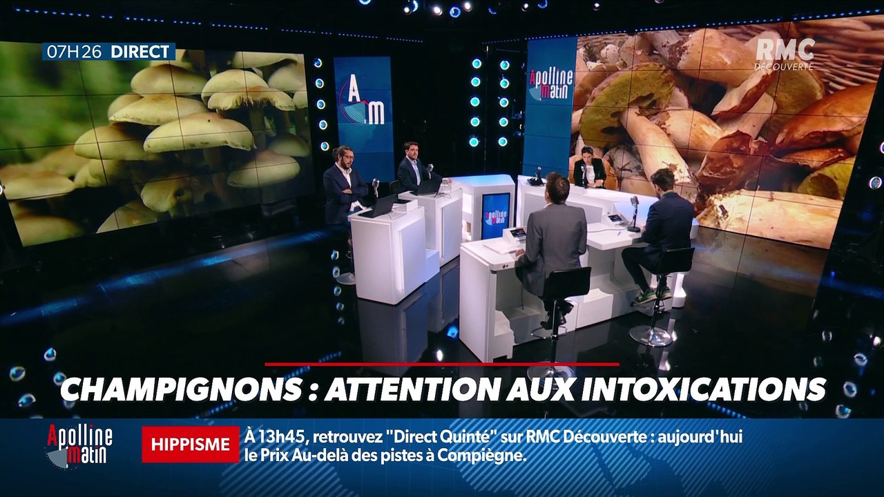 Dupin Quotidien : Attention aux intoxications par les champignons - 27/10