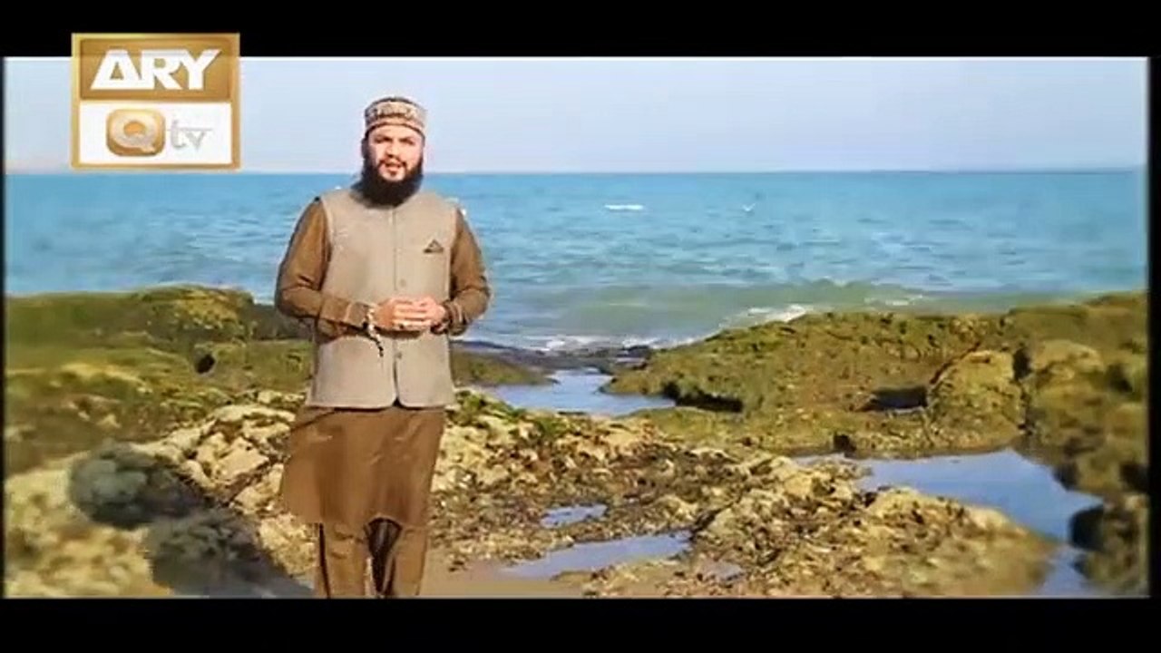 پیاری نہت شریف1
