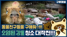 [구루마블] 카피바라가 화났다! 쓰레기로 뒤덮인 강물, 원인은 부족한 하수처리시설 / YTN