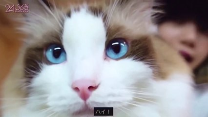 【日本語字幕】201024 24/365 with BLACKPINK(ブルピン) – EP16