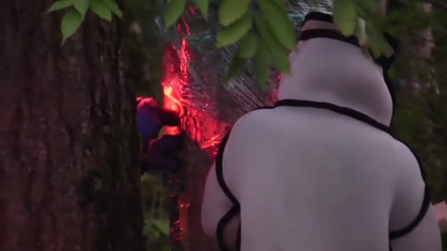 Aspiran y clausuran el primer nido de avispas asiáticas en EEUU