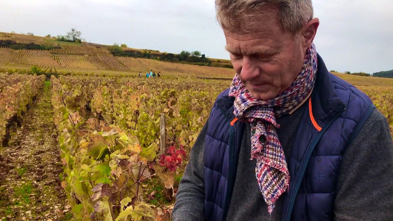 Wegen Trump: Frankreichs Winzer stoßen sauer auf