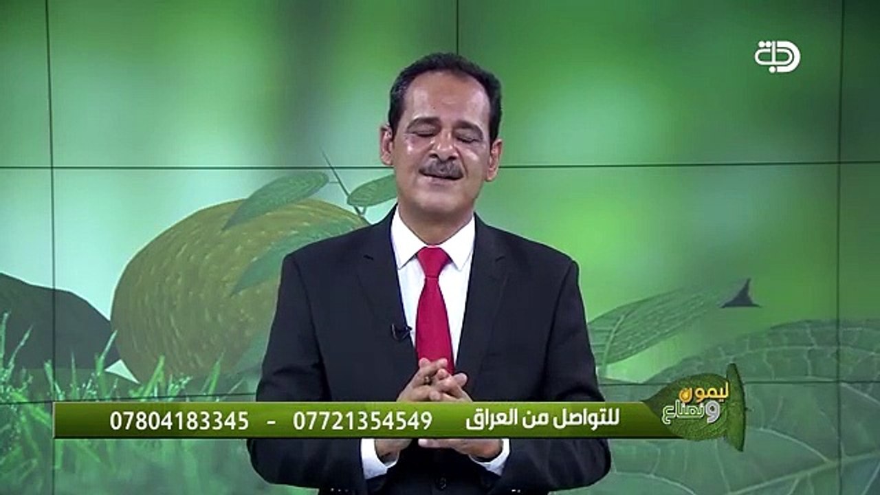 خاص بالسيدات تخلصي من الكرش والارداف مع خبير الاعشاب حسن خليفة .. قناة دجلة الفضائية
