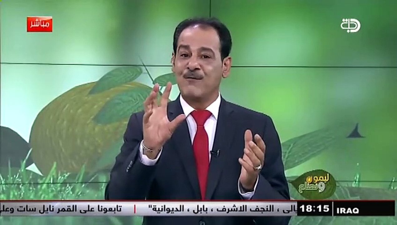 فوائد العشبة المعجزة   المورينجا   مع خبير الاعشاب حسن خليفة .. قناة دجلة الفضائية
