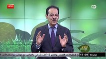 فوائد عشبة القيصوم لعلاج أكثر الأمراض شيوعا مع خبير الاعشاب حسن خليفة