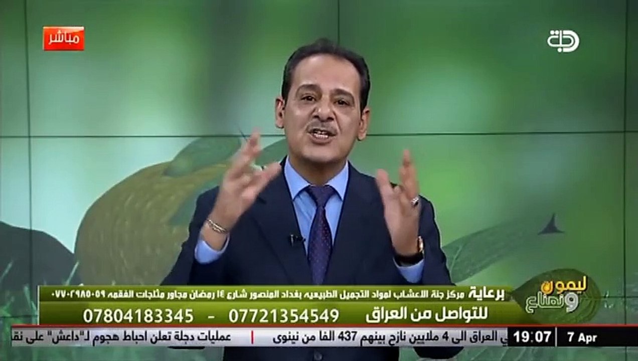 فوائد ورق الغار   ورق سيدنا موسى   مع خبير الاعشاب حسن خليفة  قناة دجلة الفضائية