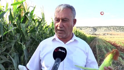 Türkiye’nin hayvan yemi Gaziantep’ten