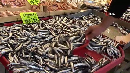 Palamuttaki Bolluğun Bitmesi, Fiyatı İkiye Katladı