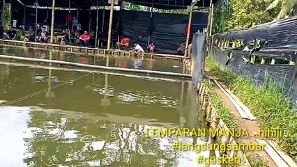 lomba mancing harian I part 1