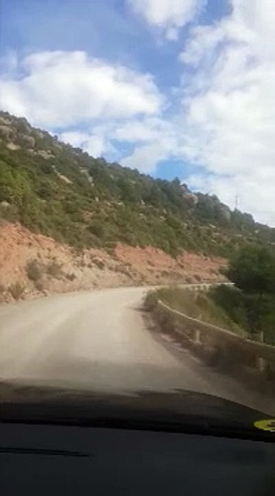 Bosno moja jabuka u cvetu