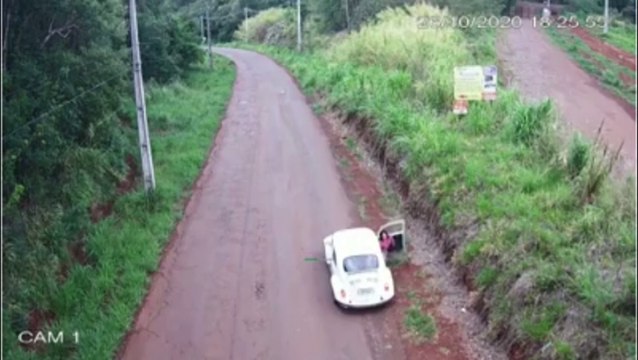Cachorro abandonado em Cascavel: Delegado afirma que caso é considerado como maus-tratos e pede ajuda para identificação