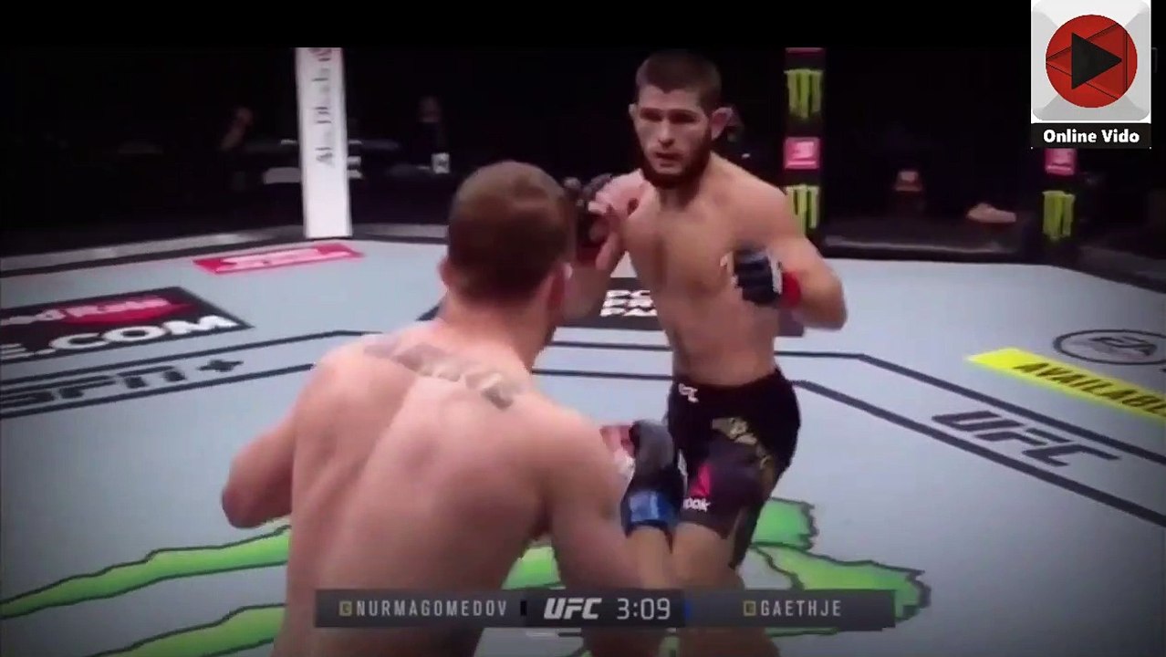 12+ Ufc Khabib Vs Gaethje Full Fight Dailymotion Pictures