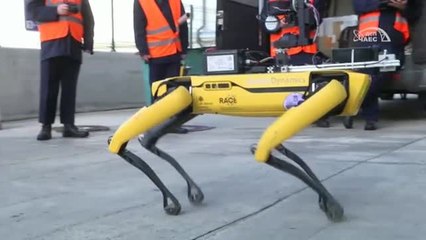 Un perro robot "olfatea" la radiación en la central nuclear de Chernóbil