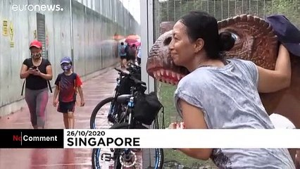 'Dinosaurs' are giving users a roaring good time on new cycling path in Singapore