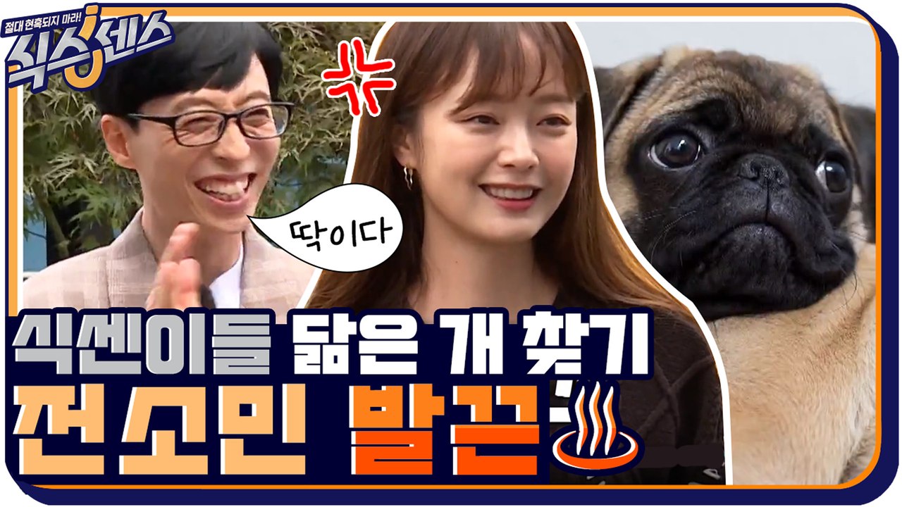 '그건 조세호 오빠지!' 전소민 발끈하게 만든 식센이들 닮은 견종 찾기ㅋㅋㅋ