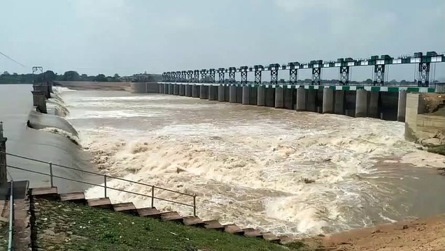 जिले के किसानों को केवल एक बार ही मिल पाएगा रबी फसल के लिए पानी