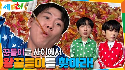 동심 자극★ 꿈틀이들 속에 숨어있는 왕꿈틀이를 찾아라!!!