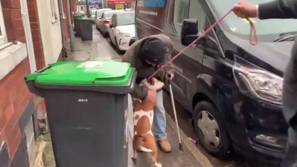 Sutton man reunited with dog thanks to community