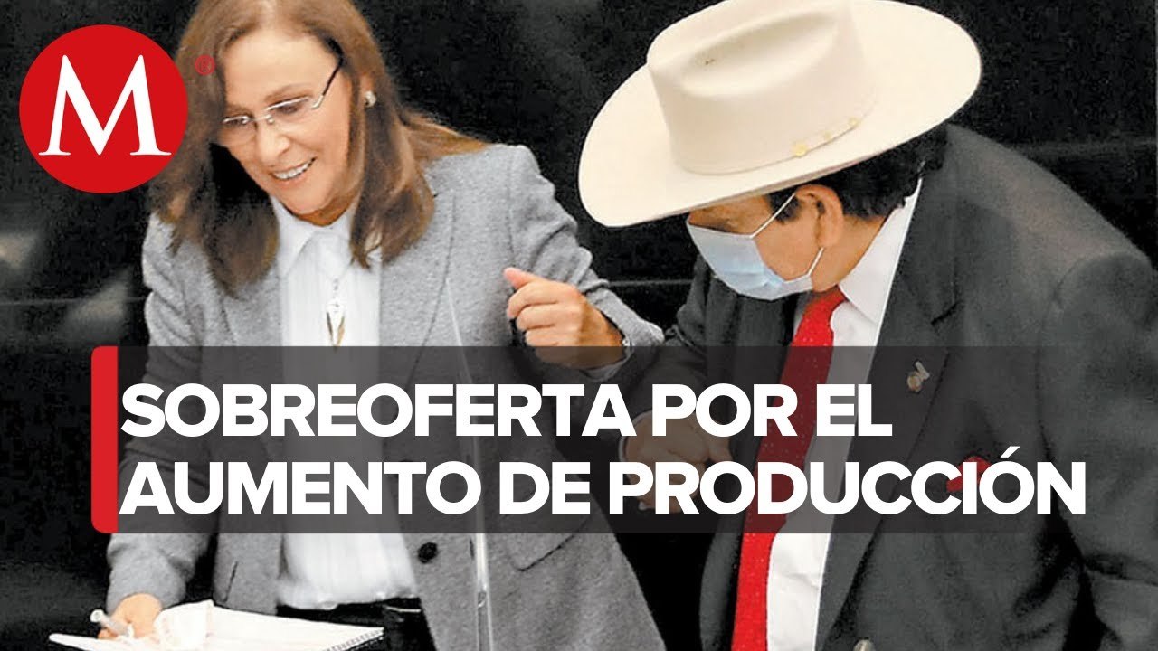 Mercado de gasolina está ‘inundado’ por sobreoferta de Pemex y privados: Rocío Nahle