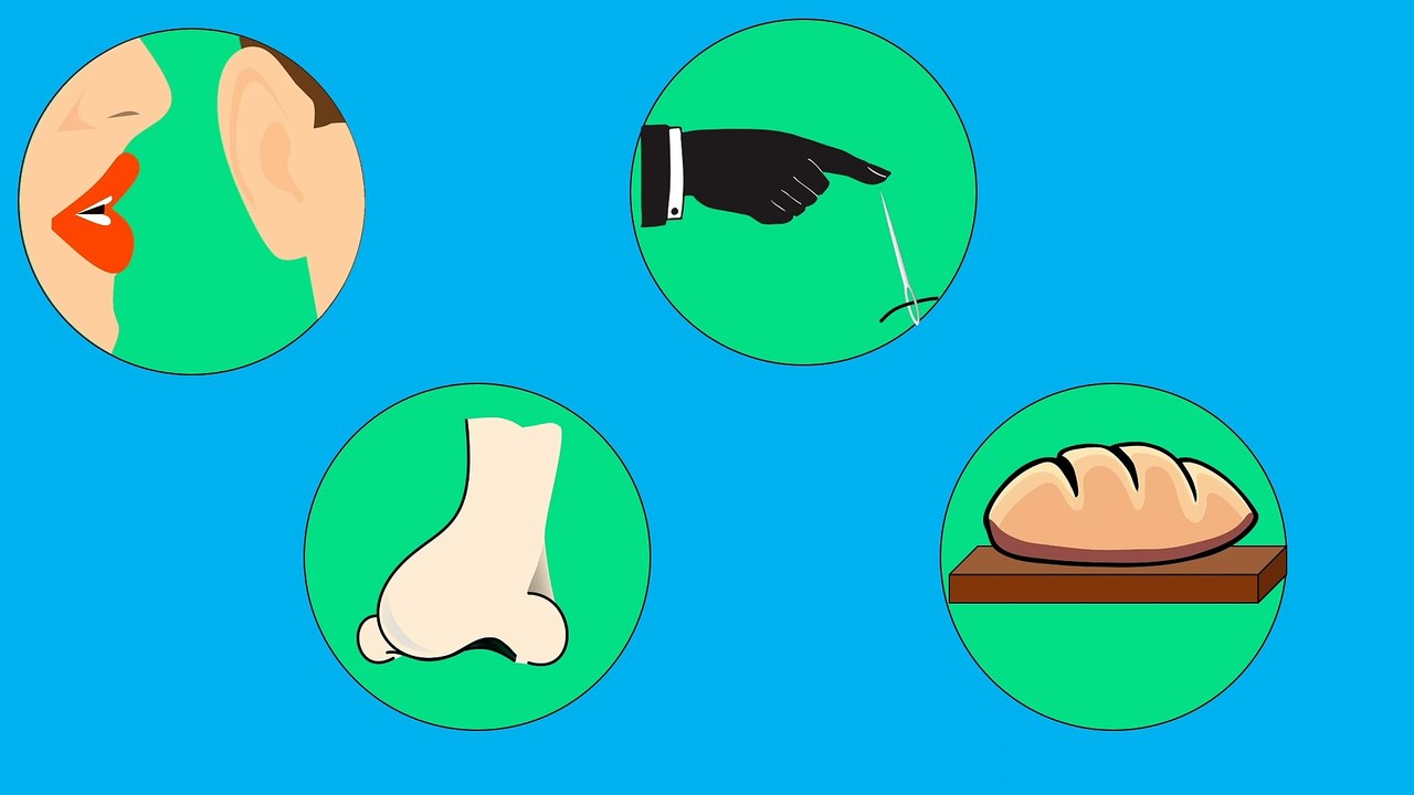 Wie träumen blind geborene menschen