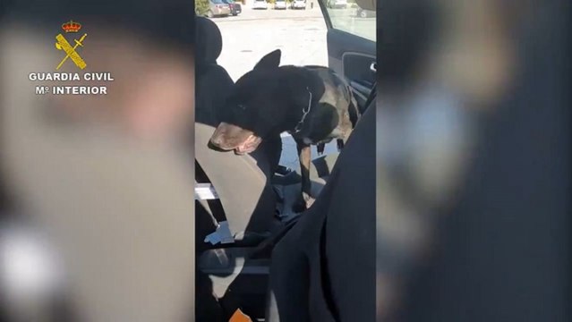 Interceptado un vehículo con 34 kilos de hachís en la A-44