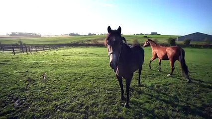Marcus Iacuitto: "Erasmus favorece la cultura empresarial europea"