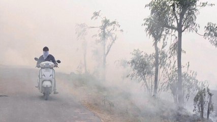 It's that time of the year: Pollution woes from air to sea