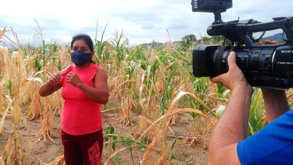 Tolima - territorios olvidados Parte I