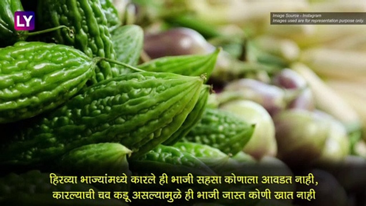Health Benefits Of Bitter Gourd: कारल्याचे 'हे' फायदे ऐकून तुम्ही ही व्हाल थक्क