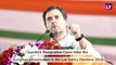 Rahul Gandhi Resigns As Congress Party President, Decks Cleared for A Non-Gandhi To Assume Role?