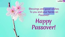 Passover 2019 Messages: Pesach WhatsApp Messages, Images to Send on The Auspicious Festival of Jews