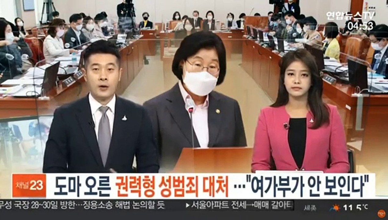 도마 오른 권력형 성범죄 대처…"여가부 안 보여"