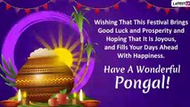 Thai Pongal 2020 Wishes: WhatsApp Messages, Images, Greetings to Celebrate This Tamil Nadu Festival