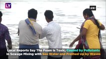 Toxic Foam Quotes Marina Beach In Chennai: Locals Enter The Waters Despite Health Hazard