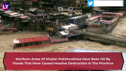 Dog Rescued In Swat From Flood Water By A Brave Man As Rains Create Havoc In Pakistan