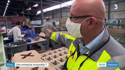 Entreprise : les usines de Pyrex tournent à plein régime