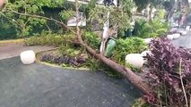 Zeta se degrada a tormenta tropical tras tocar tierra en el Caribe mexicano