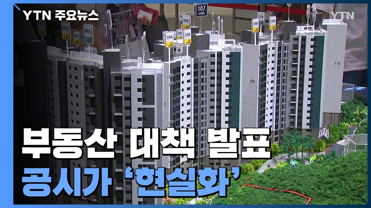 공시가 현실화..."중저가 1주택 서민 부담 없도록 할 것" / YTN