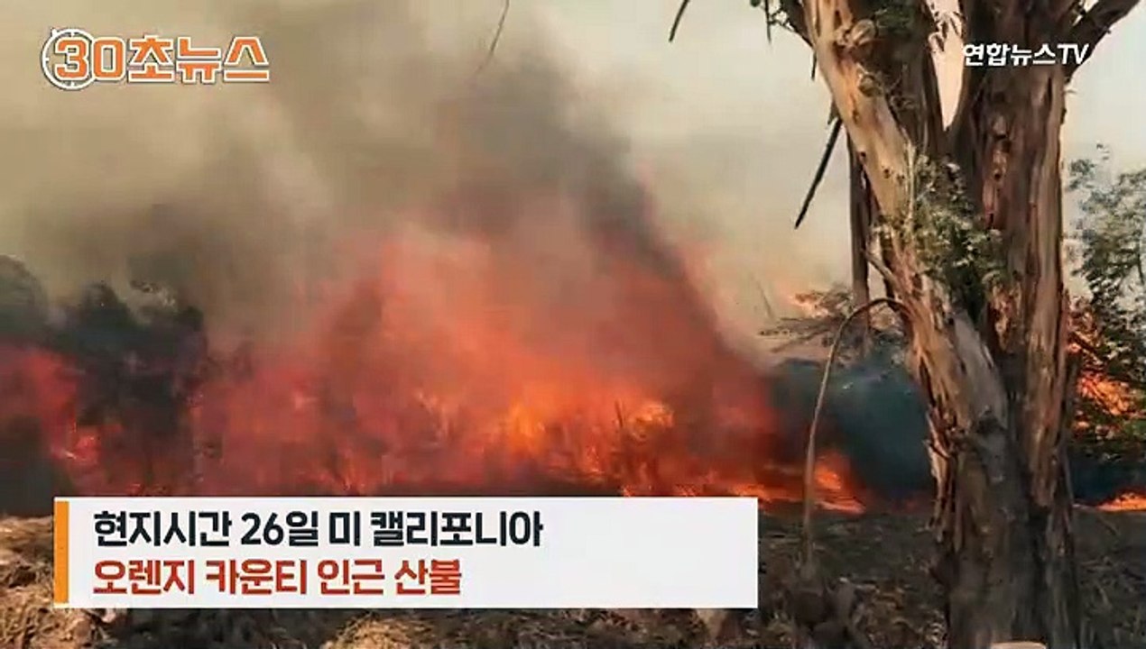 [30초뉴스] '악마의 바람' 산불 확산…美한인들 피난길