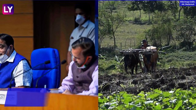 Better Prices For Farmers, Boost For MSMEs, Street Vendors In Big Cabinet Decisions